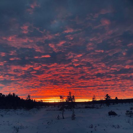 Pasvik Taiga Hotel Skogfoss Екстериор снимка