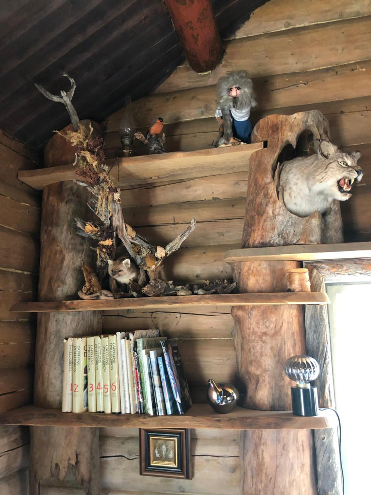 Pasvik Taiga Hotel Skogfoss Екстериор снимка