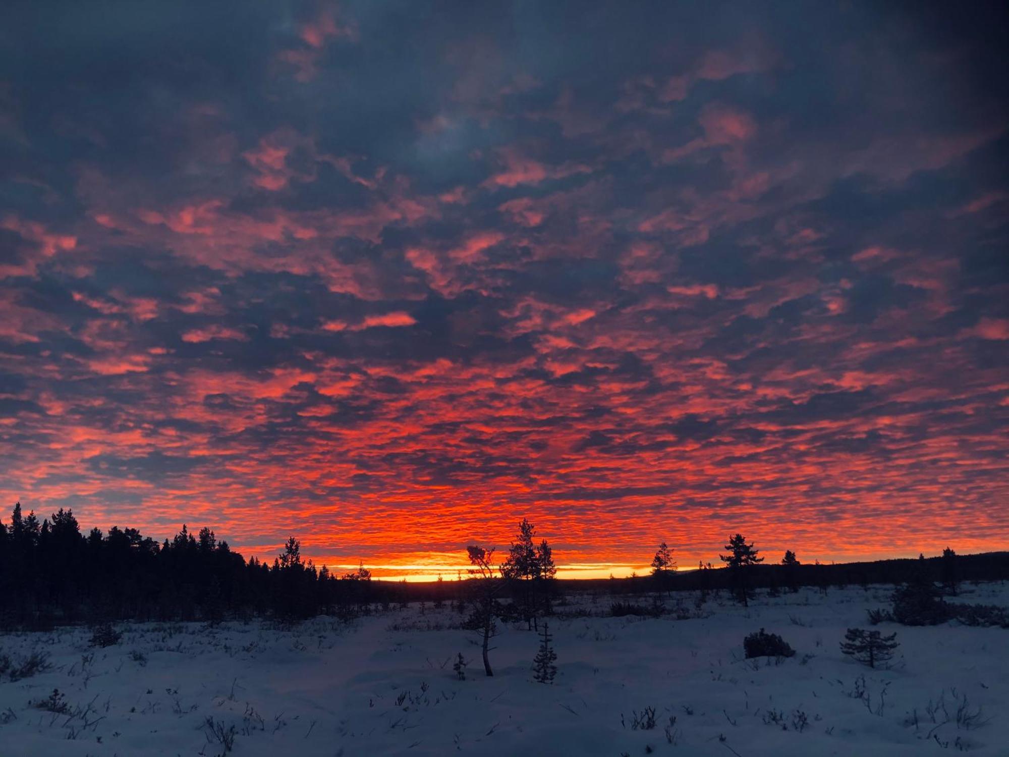 Pasvik Taiga Hotel Skogfoss Екстериор снимка