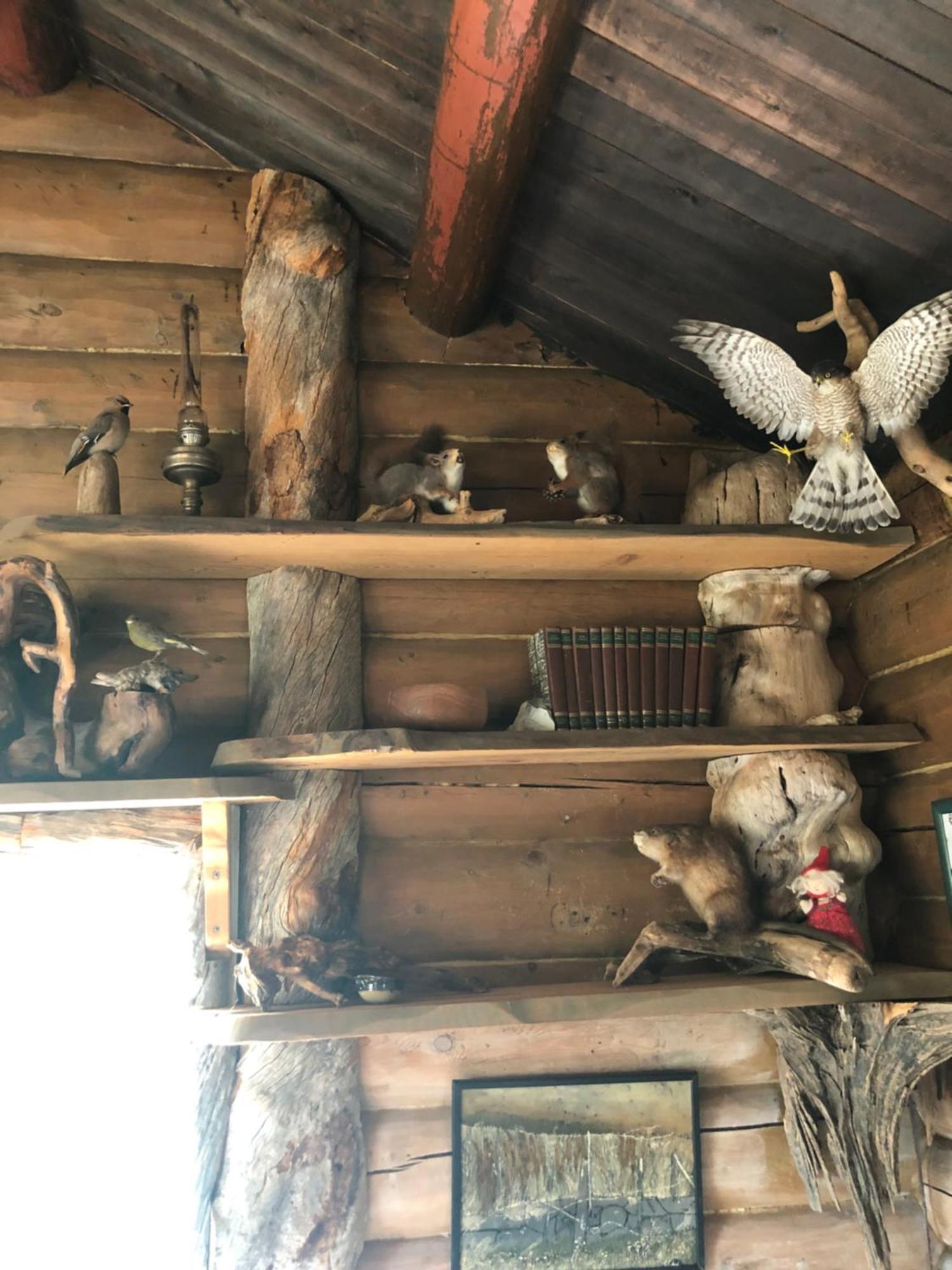 Pasvik Taiga Hotel Skogfoss Екстериор снимка